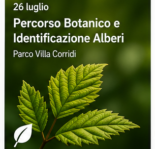 Percorso Botanico e Identificazione Alberi
